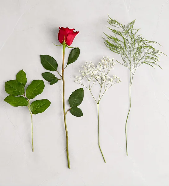 Rose Elegance™ Long Stem Red Roses