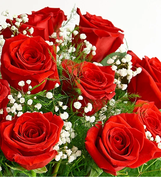 Rose Elegance™ Long Stem Red Roses